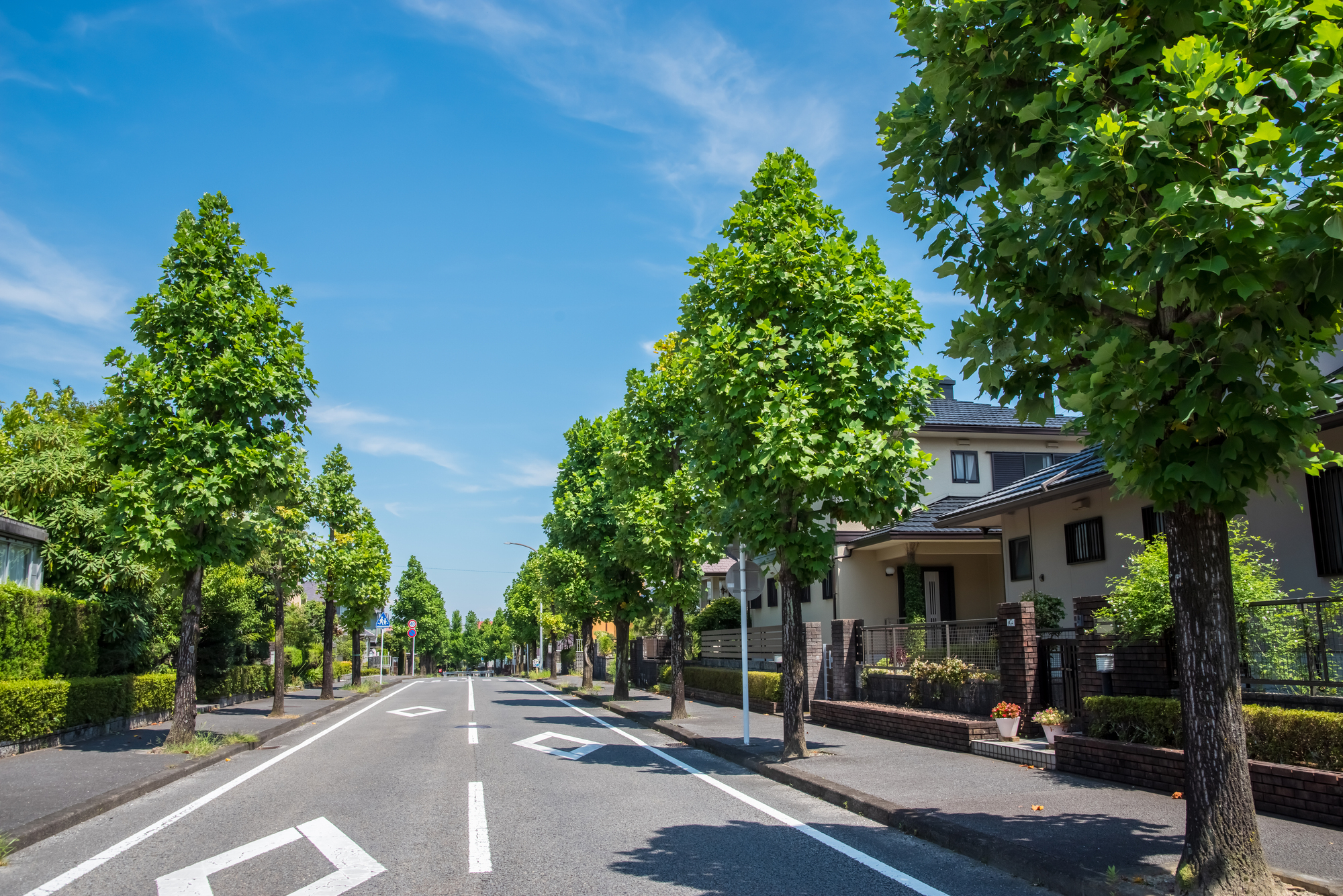 道路舗装工事サービス